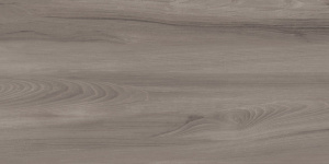 Goa Taupe GP36GOA18 Керамогранит матовый 300*600 (8 шт в уп/57,6 м в пал)