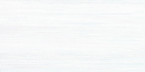 TWU09NRT006 плитка облицовочная North 249*500